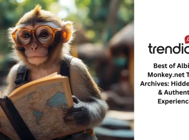 Explore the Best of Albino-Monkey.net Travel Archives: Hidden Gems & Authentic Experiences