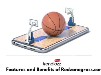 Exploring the Features and Benefits of Redzonegross.com: Your Ultimate Online Resource