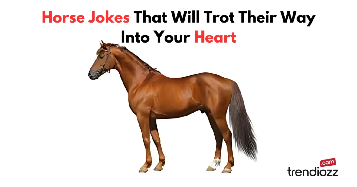 Horse Jokes That Will Trot Their Way Into Your Heart