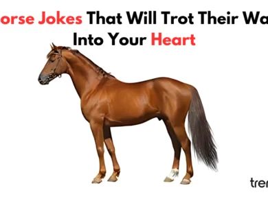 Horse Jokes That Will Trot Their Way Into Your Heart