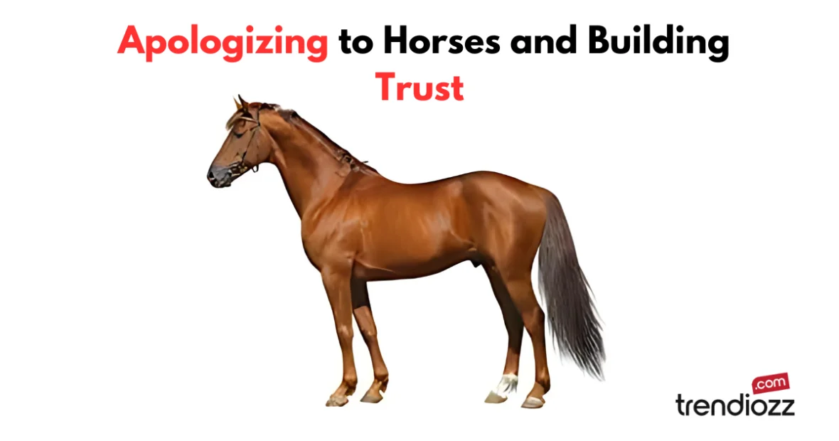 I'm Really Sorry I Don't Know Who That Horses Belongs To – Apologizing to Horses and Building Trust