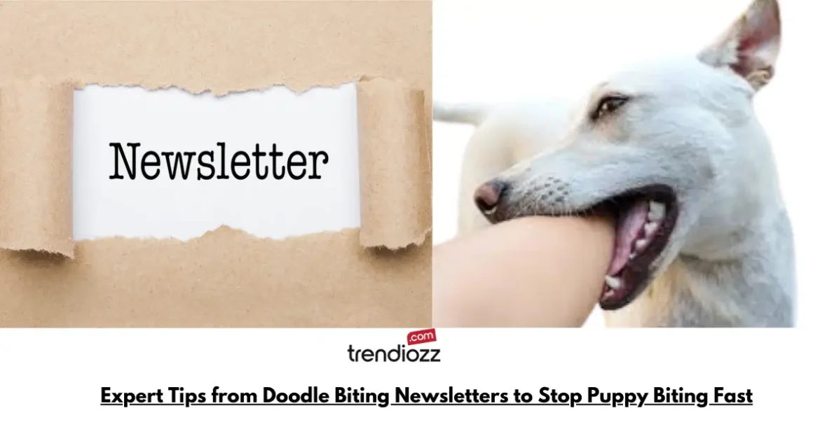 Expert Tips from Doodle Biting Newsletters to Stop Puppy Biting Fast