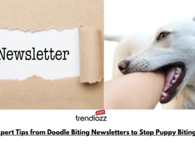 Expert Tips from Doodle Biting Newsletters to Stop Puppy Biting Fast