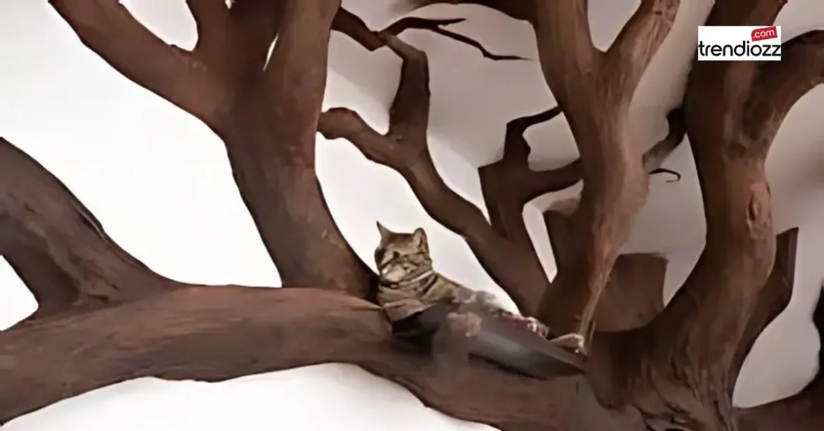 Enhance Your Cat’s Space with a Realistic Cat Tree That Looks Like a Tree