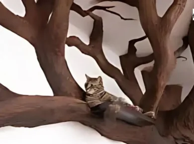 Enhance Your Cat’s Space with a Realistic Cat Tree That Looks Like a Tree